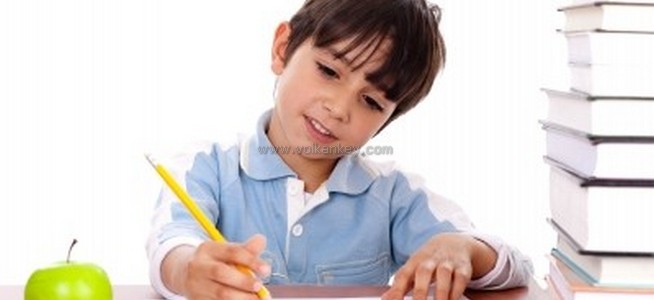 Örnek Öğrenci Kuralları Örnek Öğrenci Kuralları