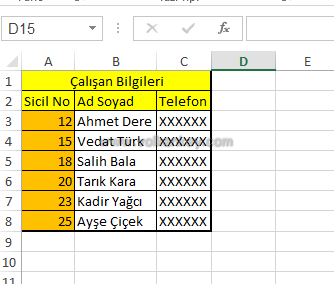 Excel'de Düşeyara (VLookUp)