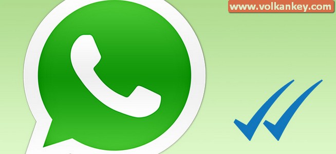 Whatsapp ta Yeni Mavi Tikler